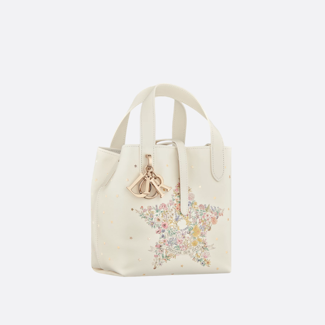 VERTIKALE TOTE-TASCHE DIOR LUCKY DIOR TOUJOURS KLEIN