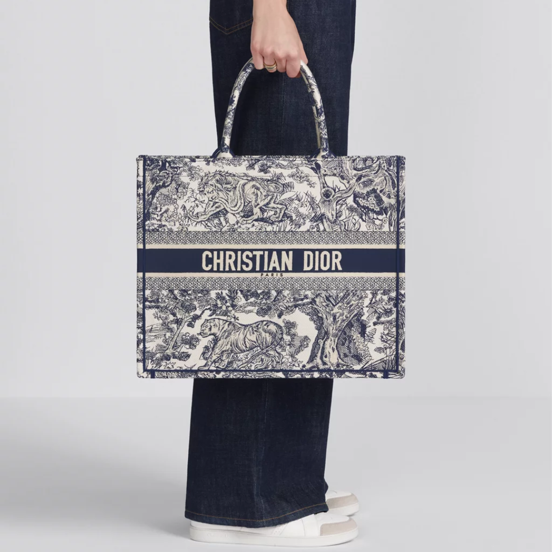 GROßE DIOR BOOK TOTE TASCHE