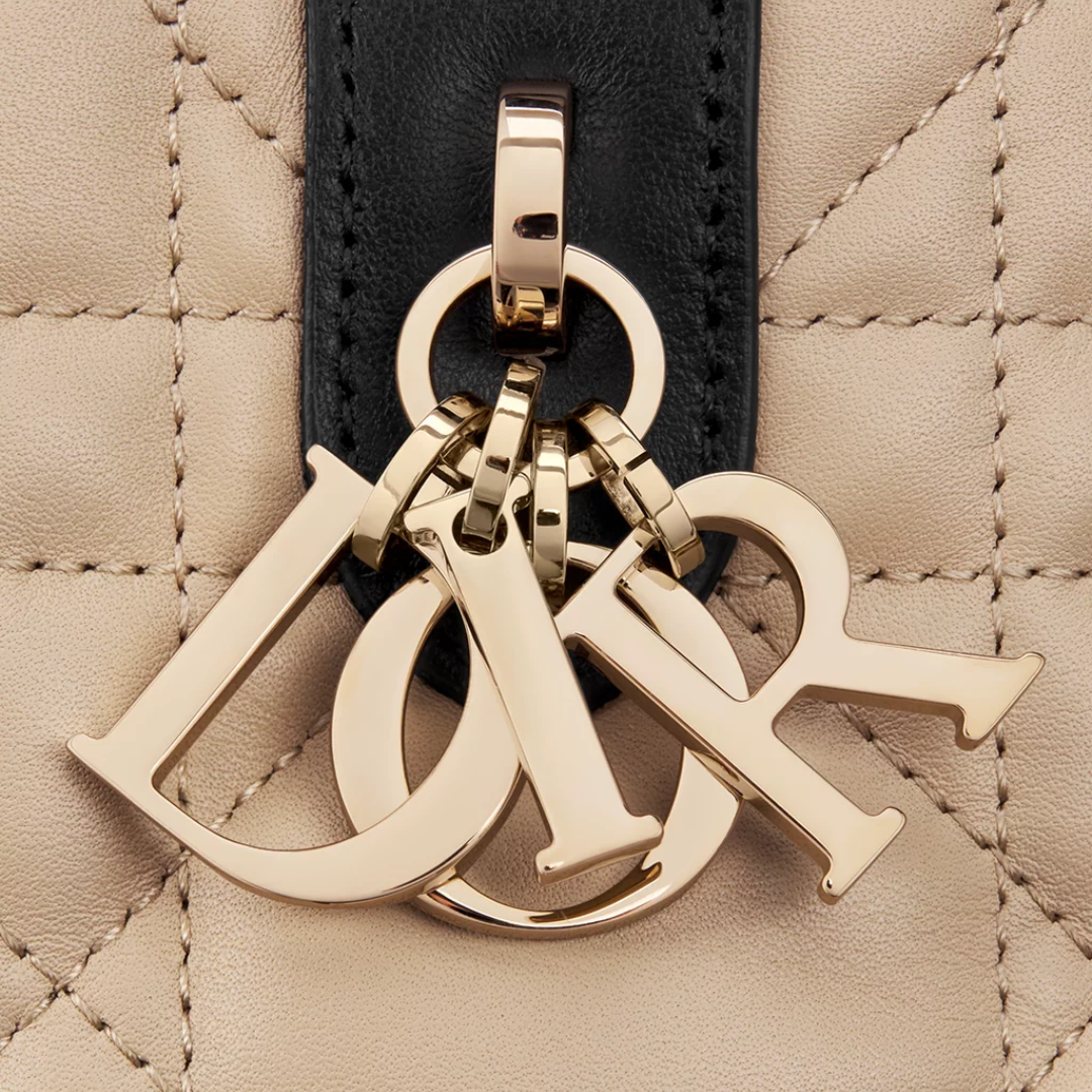 DIOR TOUJOURS KLEINE TASCHE